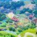 [GUIDE] The Seven Deadly Sins: Origin Codes & How to Redeem Them